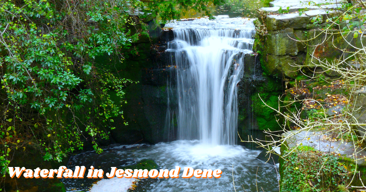 Waterfall in Jesmond Dene